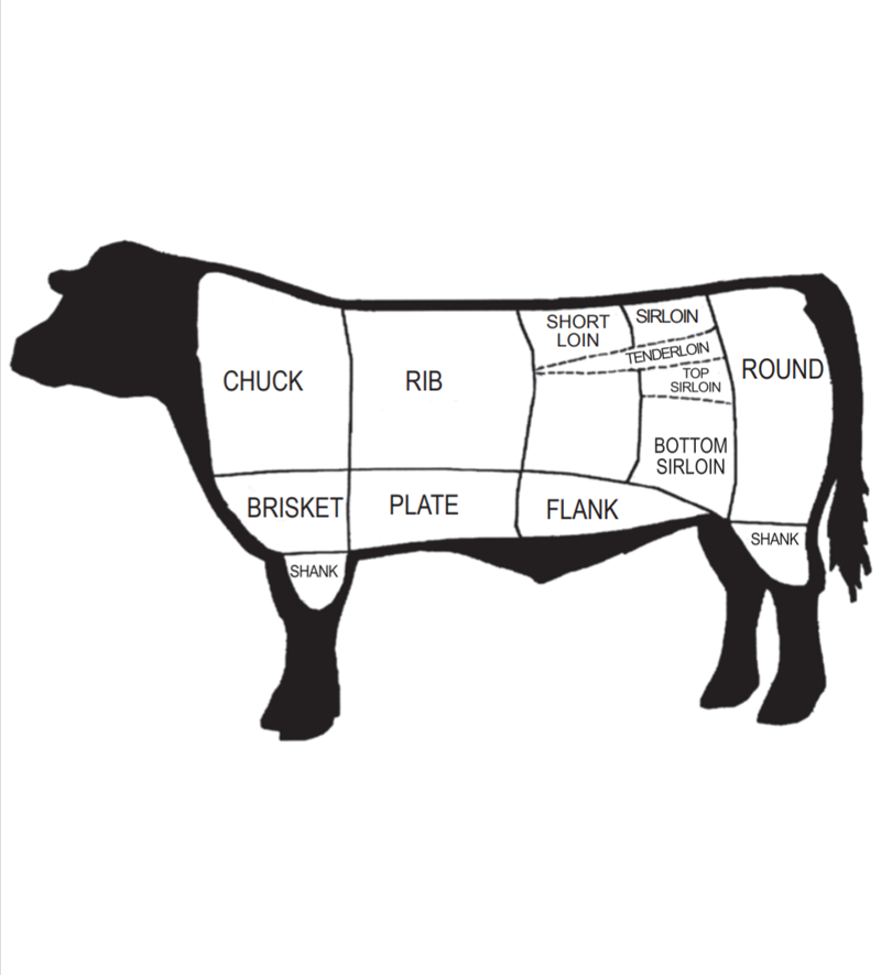 Beef Fact and Activity Sheet