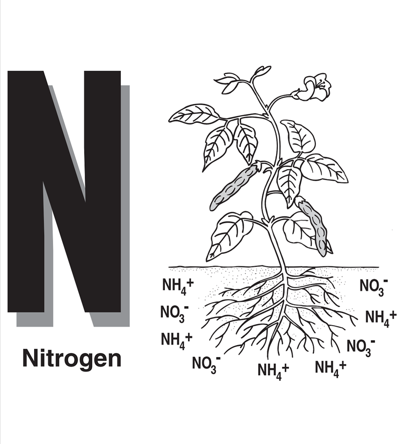 Plant Nutrients Fact and Activity Sheets