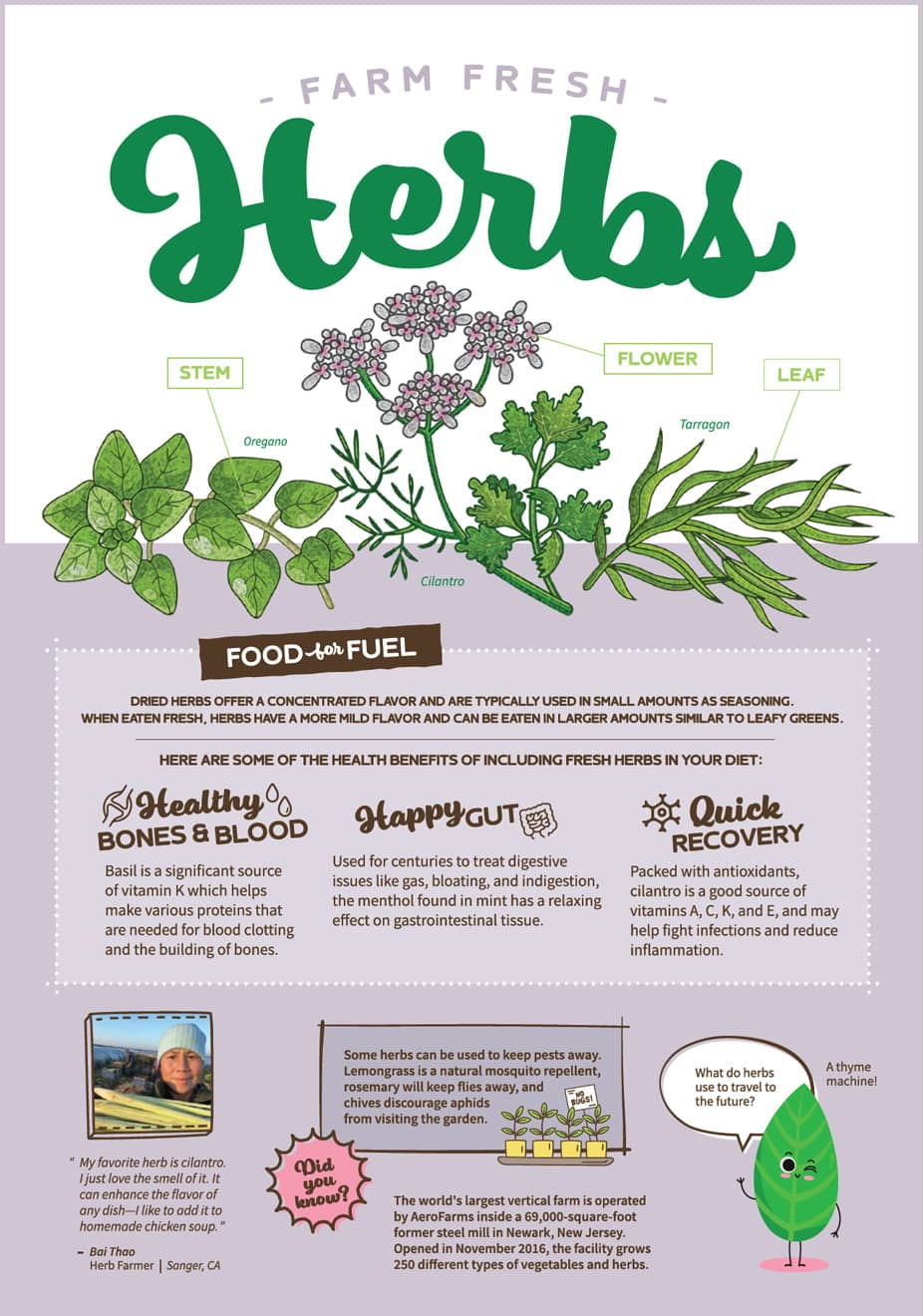 February Herbs