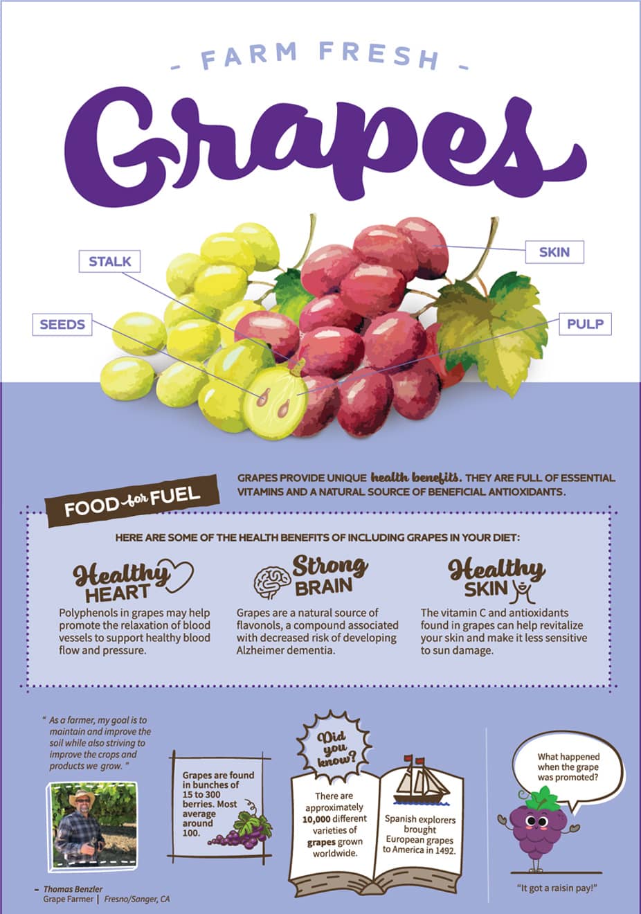 October Grapes