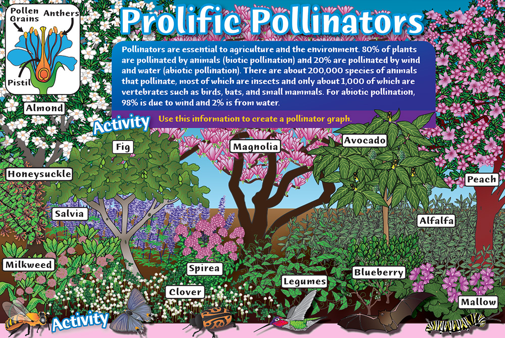 Prolific Pollinators