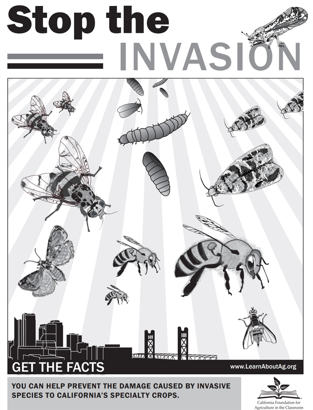Stop the Invasion Fact Sheet Set